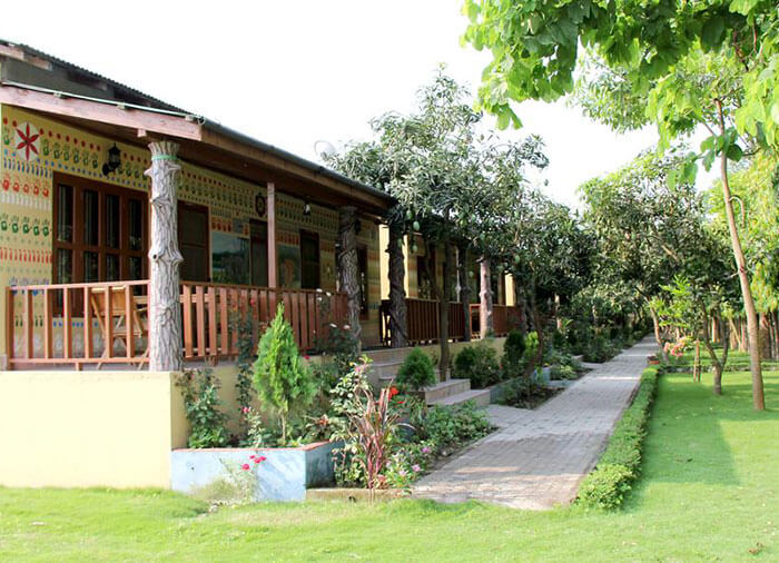 jungle safari lodge chitwan contact number